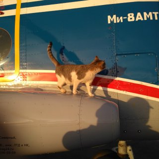 Автор: Андрей Копысов