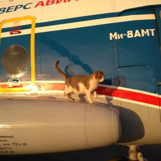 Автор: Андрей Копысов