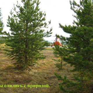 Автор: Сергей Мутовин