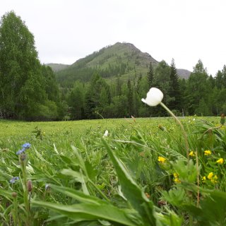 Автор: Сергей Петриков