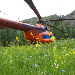 Автор: Сергей Петриков