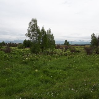 Автор: Сергей Петриков