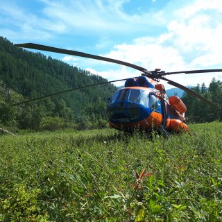 Автор: Сергей Петриков