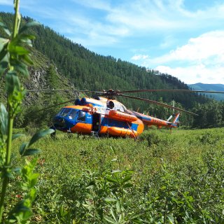 Автор: Сергей Петриков