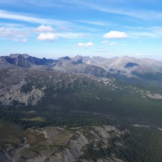 Автор: Сергей Петриков